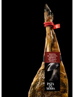 Paleta de Bellota 50% raza ibérica